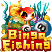 Câu Cá Bingo ju888 casino
